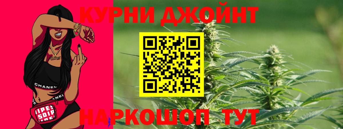 Каннабис конопля Отрадный